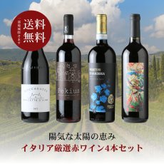 画像1: イタリア厳選赤ワイン4本セット（赤ワイン4本 750ml 送料無料 北海道、沖縄は1個口につき送料950円） (1)