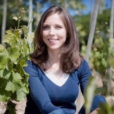 画像3: クローズ エルミタージュ ドメーヌ ド タラベール（赤ワイン フランス コート・デュ・ローヌ　ドメーヌ ポール ジャブレ エネ) (3)