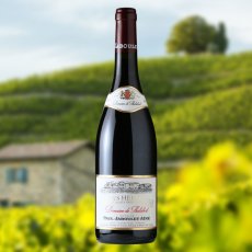 画像4: クローズ エルミタージュ ドメーヌ ド タラベール（赤ワイン フランス コート・デュ・ローヌ　ドメーヌ ポール ジャブレ エネ) (4)