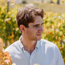 画像4: メサス ピノタージュ ルージュ（赤ワイン 南アフリカ　アンガス・ポール) (4)