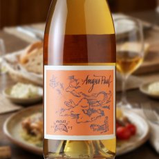 画像1: メサス マスカットブラン スキンコンタクト（オレンジワイン 南アフリカ　アンガス・ポール) (1)