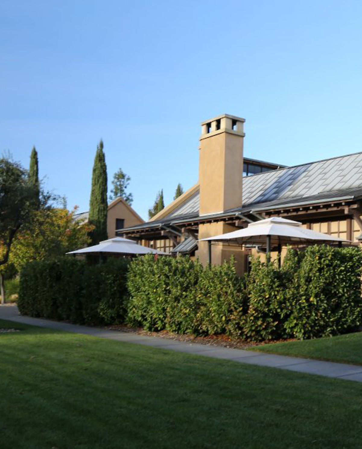 画像5: フランシスカン・エステート　カベルネ・ソーヴィニヨン（赤ワイン アメリカ カリフォルニア　フランシスカン・エステート) (5)