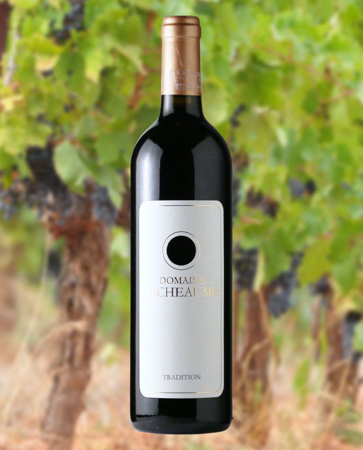 画像4: リショーム キュベ トラディション  （赤ワイン フランス プロヴァンス） (4)