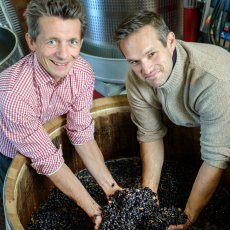 画像6: マルサネ ルージュ（赤ワイン フランス　シャトー‧ド‧マルサネ） (6)