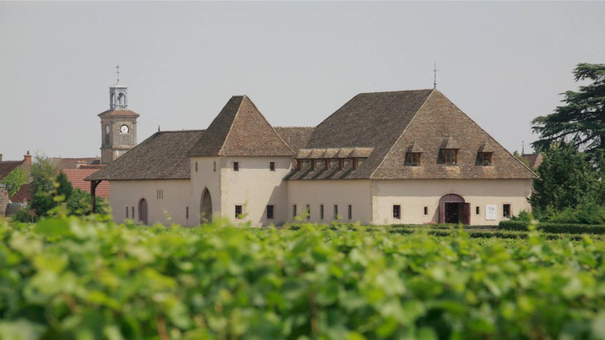 画像7: マルサネ ルージュ（赤ワイン フランス　シャトー‧ド‧マルサネ） (7)