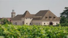 画像7: マルサネ ルージュ（赤ワイン フランス　シャトー‧ド‧マルサネ） (7)