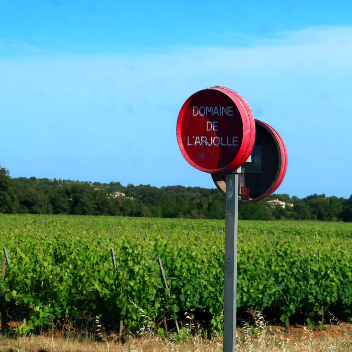 画像3: ラルジョル・ルージュ (赤ワイン フランス ラングドック) (3)