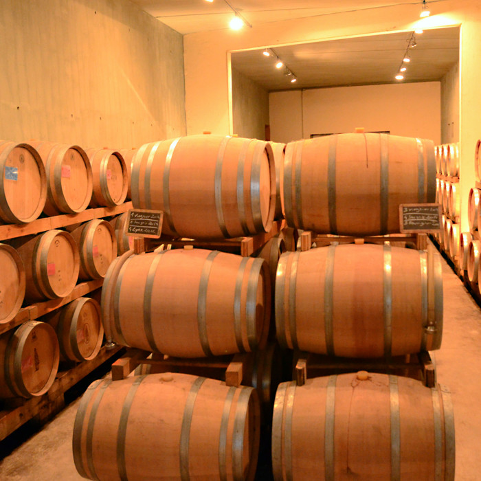 画像4: ラルジョル・ルージュ (赤ワイン フランス ラングドック) (4)