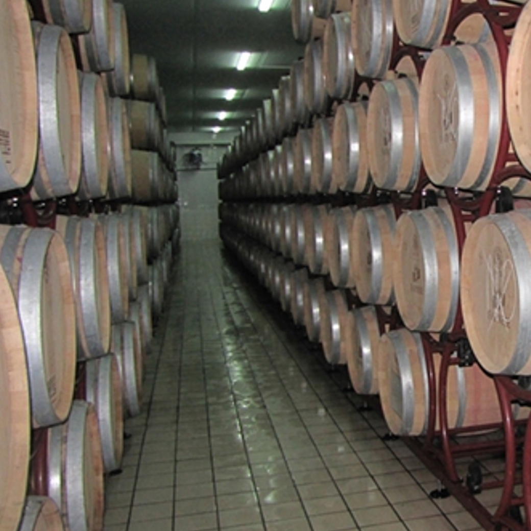 画像6: モンテプルチャーノ ダブルッツォ コッリーネ テラマーネ(赤ワイン イタリア  アブルッツォ ファンティーニ) (6)