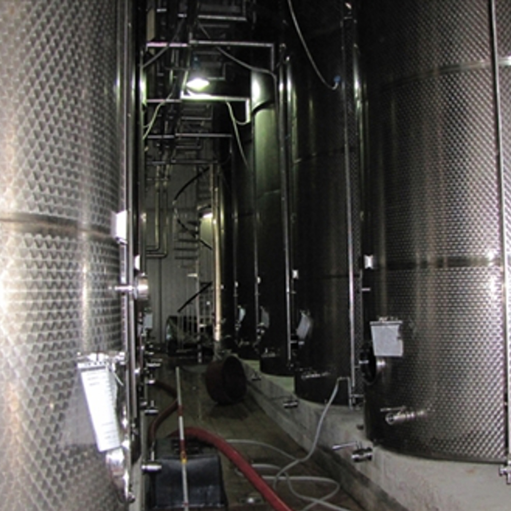 画像5: モンテプルチャーノ ダブルッツォ コッリーネ テラマーネ(赤ワイン イタリア  アブルッツォ ファンティーニ) (5)