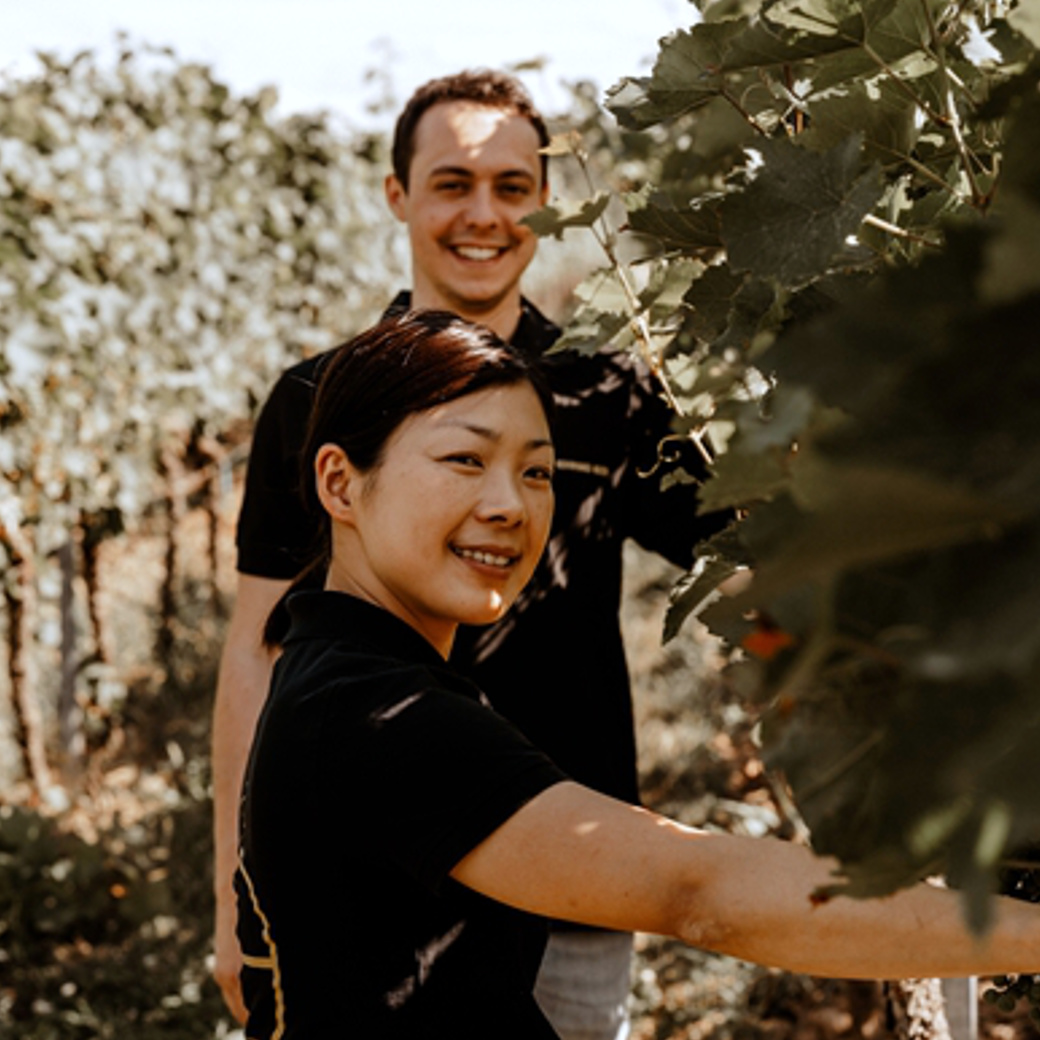 画像8: レゲント プティ チエ(赤ワイン ドイツ ファルツ ヴァイングート ベルンハルト コッホ) (8)