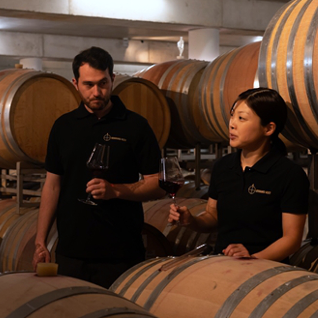 画像9: レゲント プティ チエ(赤ワイン ドイツ ファルツ ヴァイングート ベルンハルト コッホ) (9)