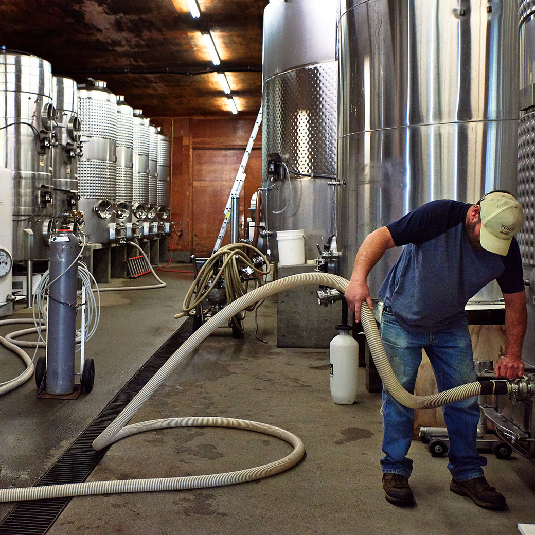 画像5: フォリス ピノ ノワール ログ ヴァレー(赤ワイン アメリカ オレゴン フォリス・ヴィンヤーズ) (5)