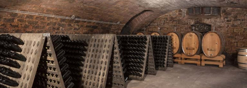 ベルンハルト　コッホ